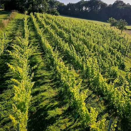 Chateau De Berlieren ホテル Plombières
